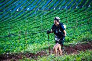 BIB: 
                            <button type="button" onclick="openModal(19159984)" class="btn btn-primary btn-sm float-right btn-popup" data-toggle="modal" data-target=".modal-high-quality">
                        <i class="fas fa-shopping-cart"></i> Add to Cart
                    </button>
                                            <button type="button" onclick="isThisMe(19159984, true)" class="btn btn-success btn-sm float-right btn-popup btn-isme hidden" data-toggle="tooltip" data-placement="bottom" title="นี่คือรูปของคุณใช่ไหม คลิกที่นี่เพื่อเอาเข้าอัลบั้ม">
                        <i class="fas fa-plus"></i> Add to album
                    </button>
                    <button type="button" onclick="isThisMe(19159984, false)" class="btn btn-warning btn-sm float-right btn-popup btn-isnotme hidden">
                        <i class="fas fa-ban"></i> Remove from album
                    </button>